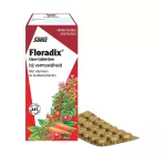 Salus Floradix Ijzer Tabletten 147tb