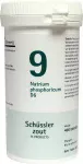 Schussler Zout Nr. 9 Natrium Phosphoricum D6 Tabletten - 400 Stuks