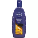 Andrelon Special Shampoo Almond Shine 300ml