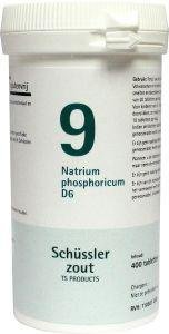 Pfluger Natrium Phosphoricum 9 D6 Schussler 400tb