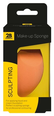 2b Sponges Sculpting 1st