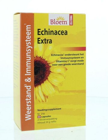 Bloem Echinacea 60ca